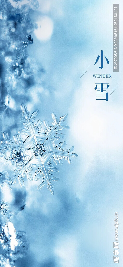 小雪海报