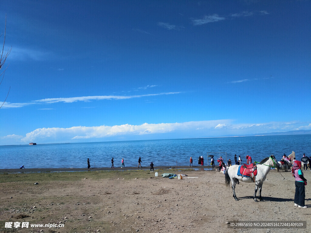 青海湖风景图