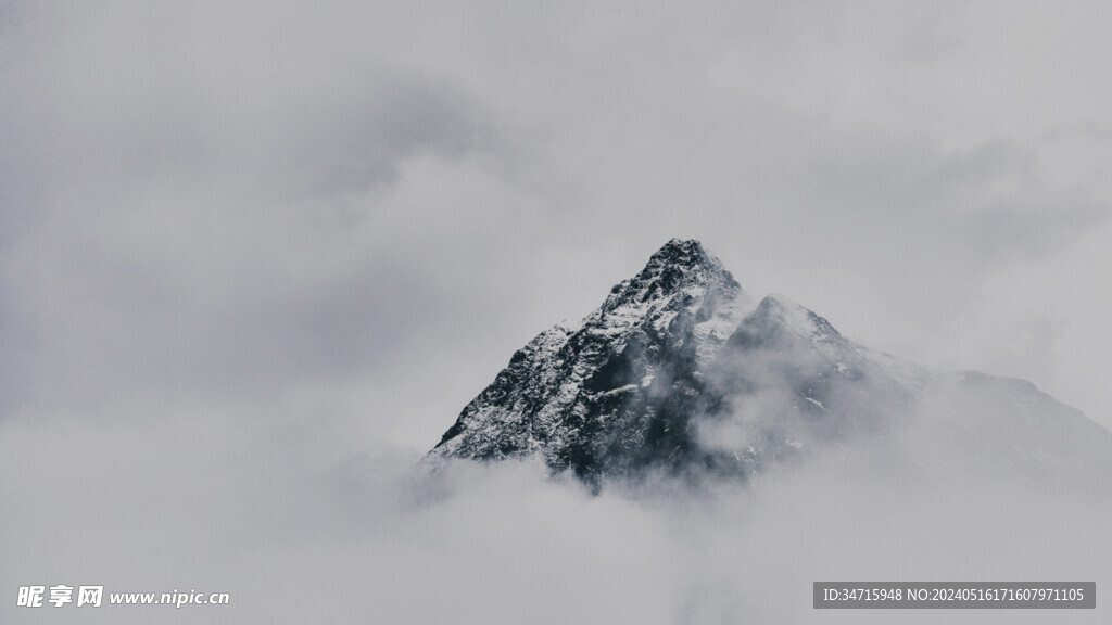 高山云雾