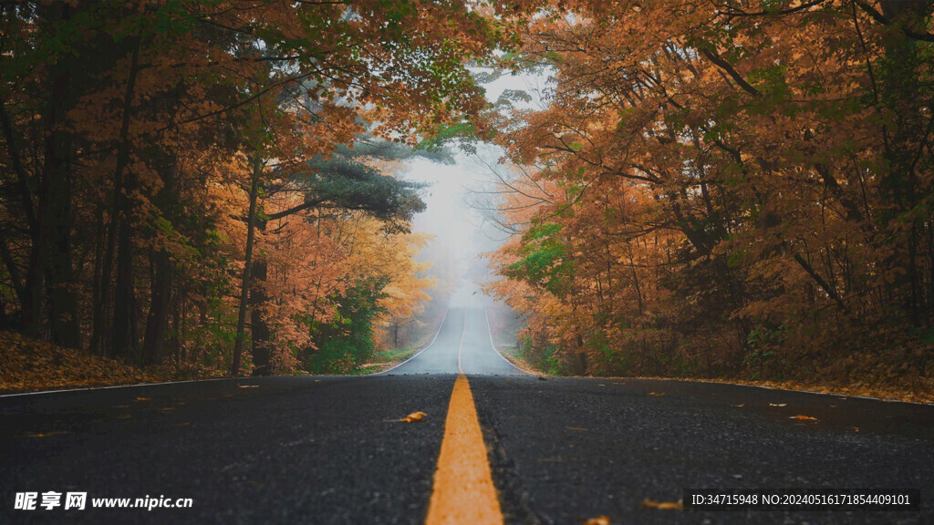 秋天的山地公路