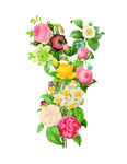 花素材