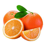 橙子抠图