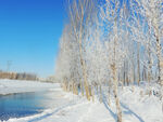 雪景