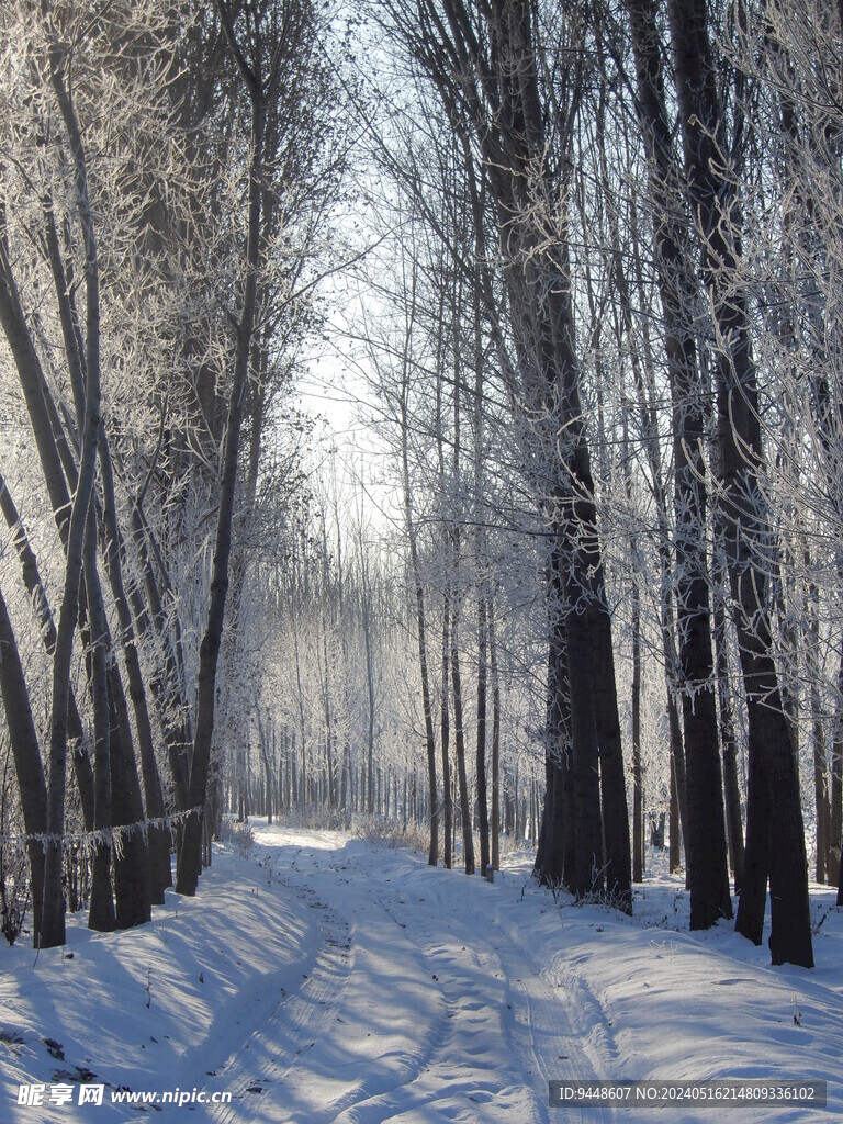 雪景