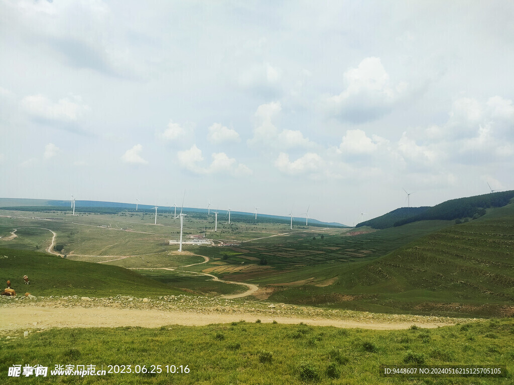 草原风景