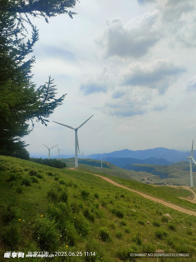 草原风景