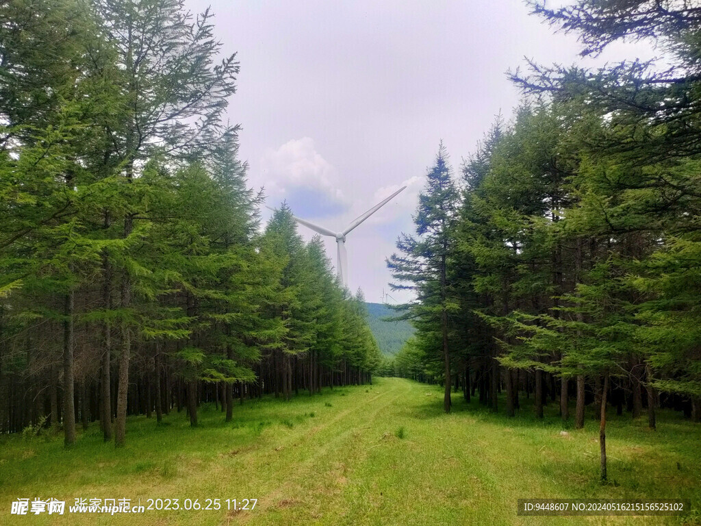 草原风景