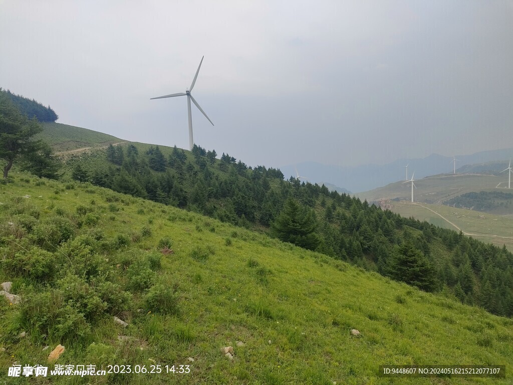 草原风景