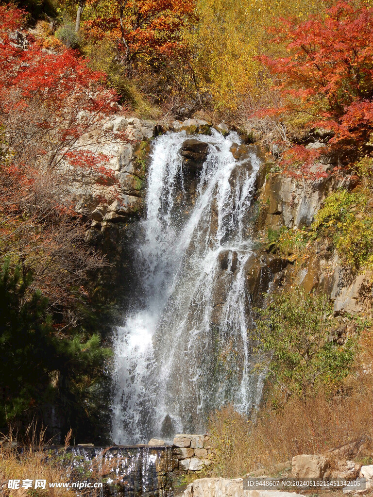 秋景