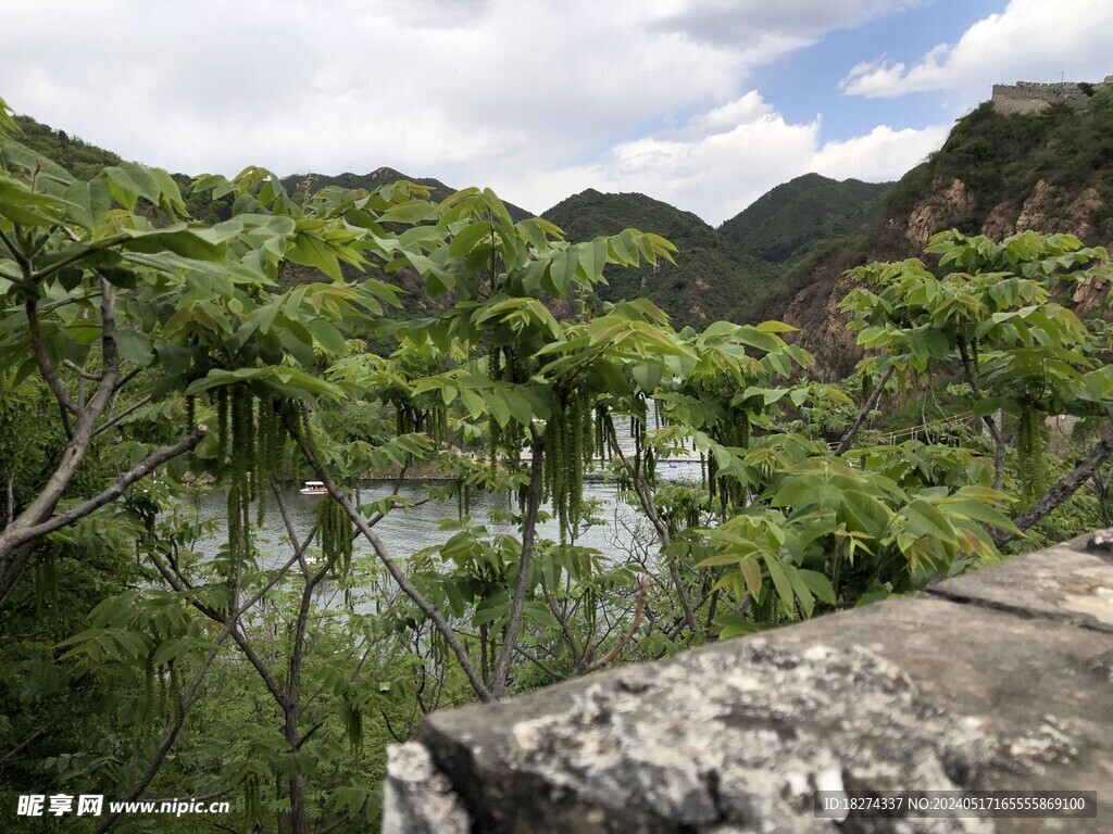 山水绿树