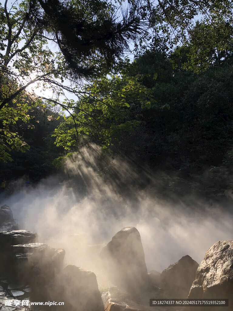 树林雾凇