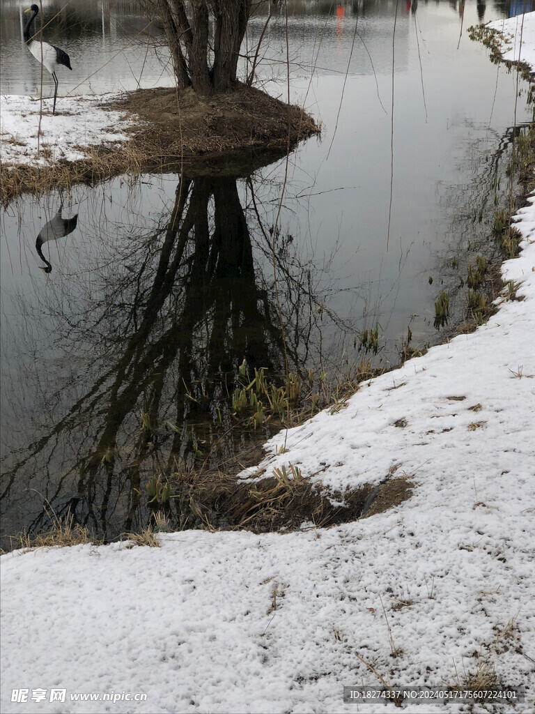 公园雪景