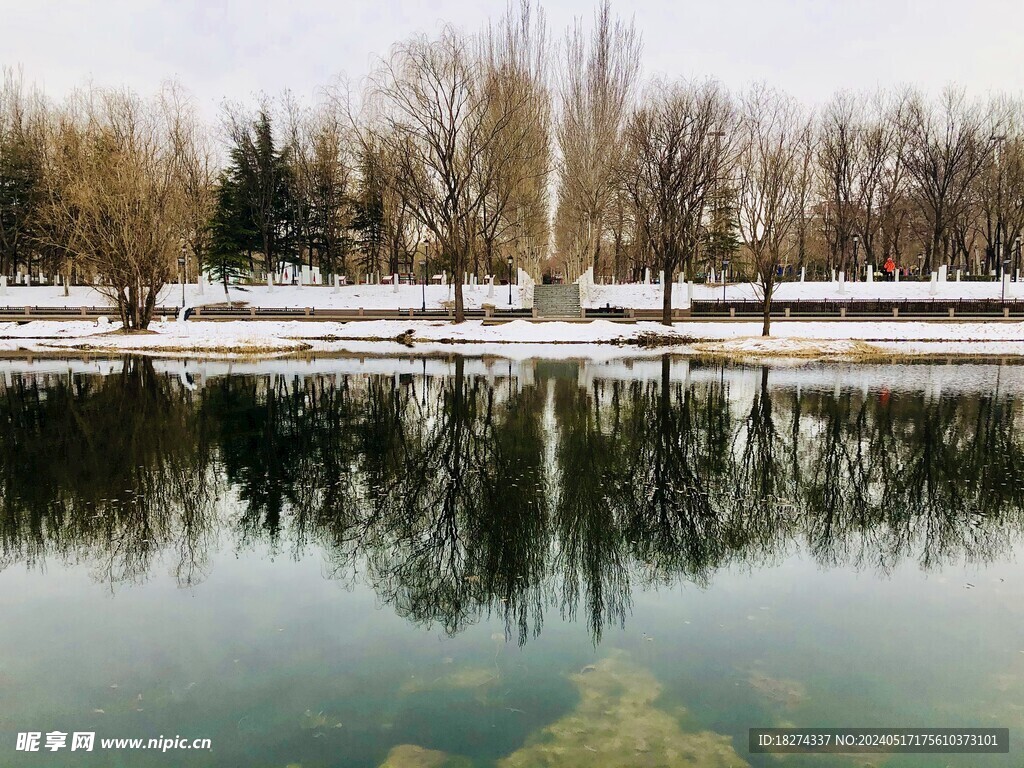 公园湖面雪景