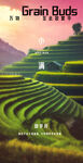 小满海报
