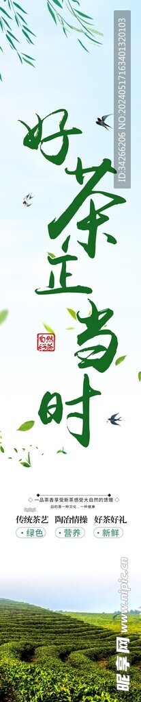 好茶正当时 春茶茶叶