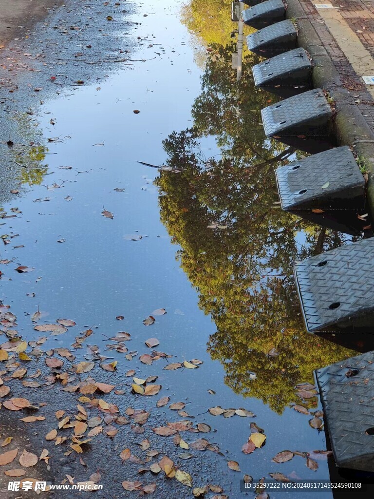 镜花水月