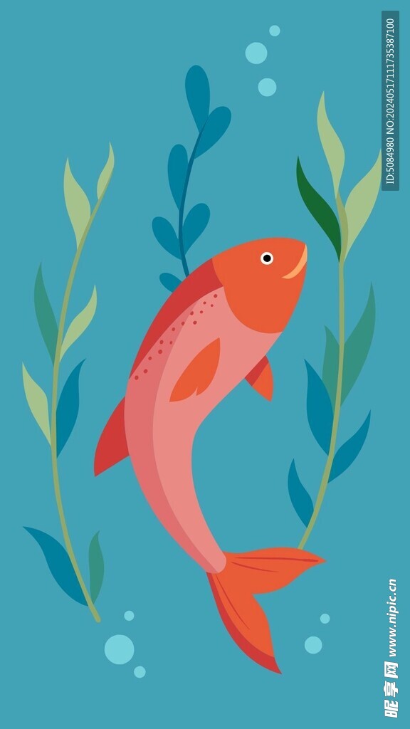 鲑鱼平面插图