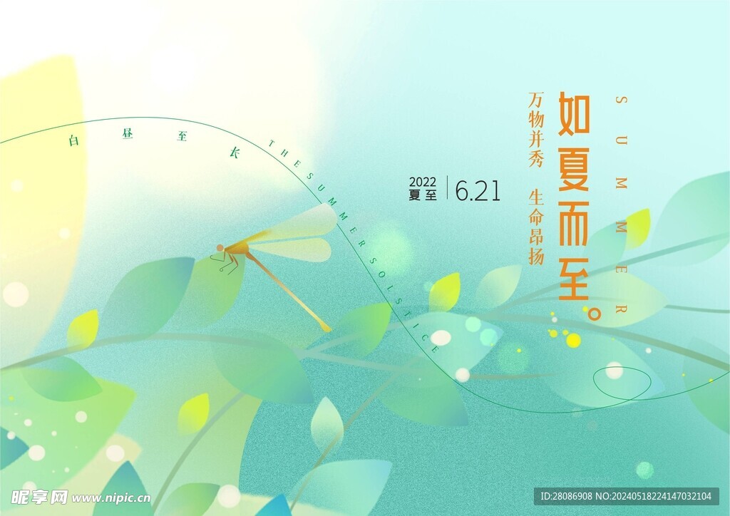 夏至 夏天 蜻蜓