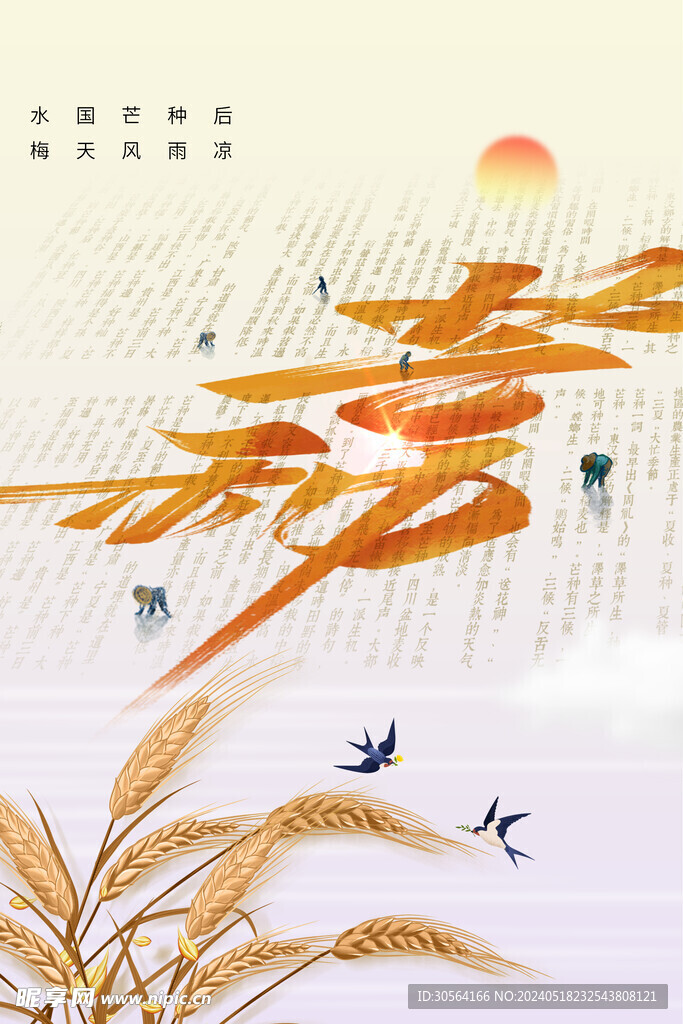 芒种