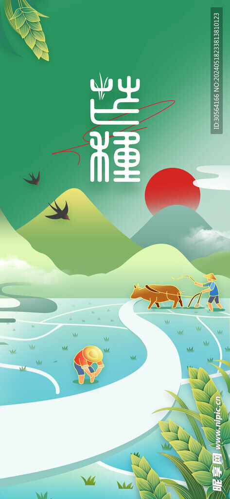 芒种