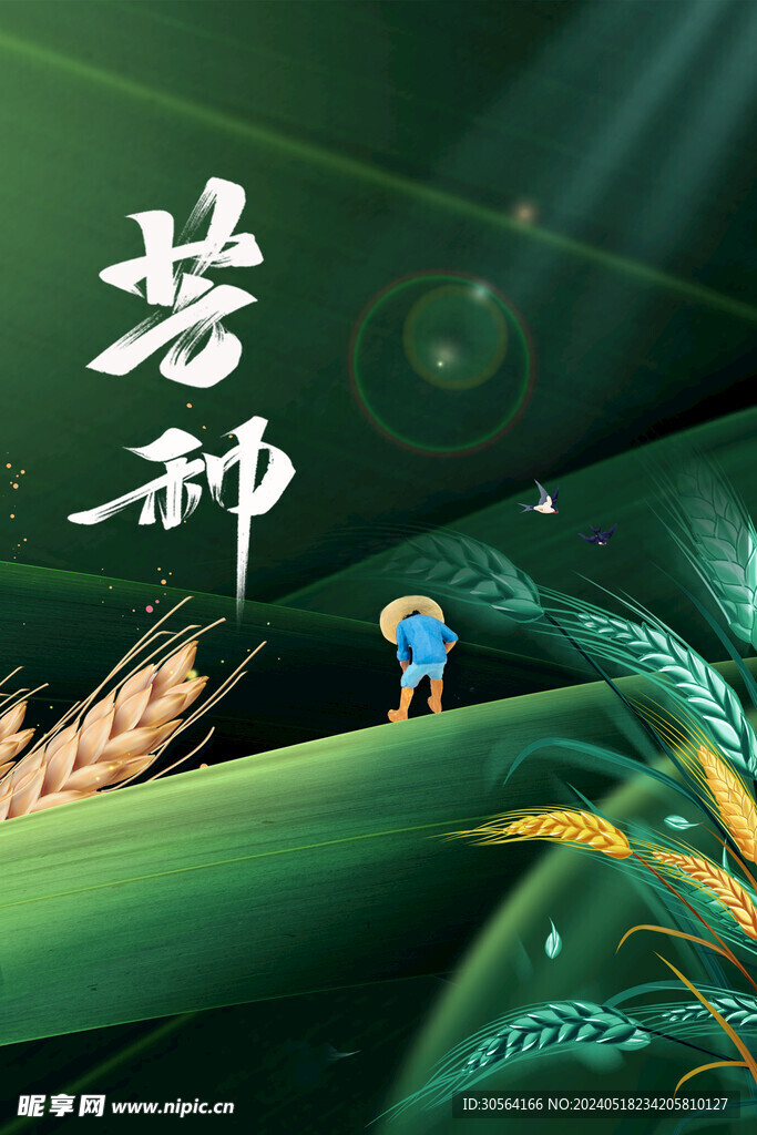 芒种