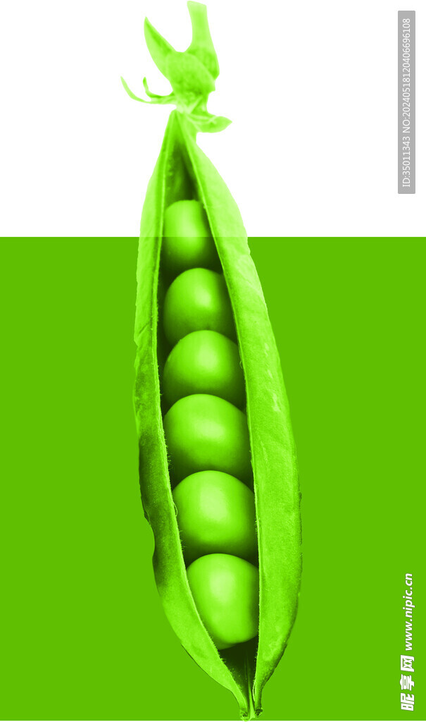 豆子