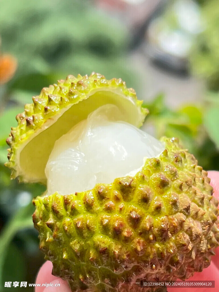 荔枝
