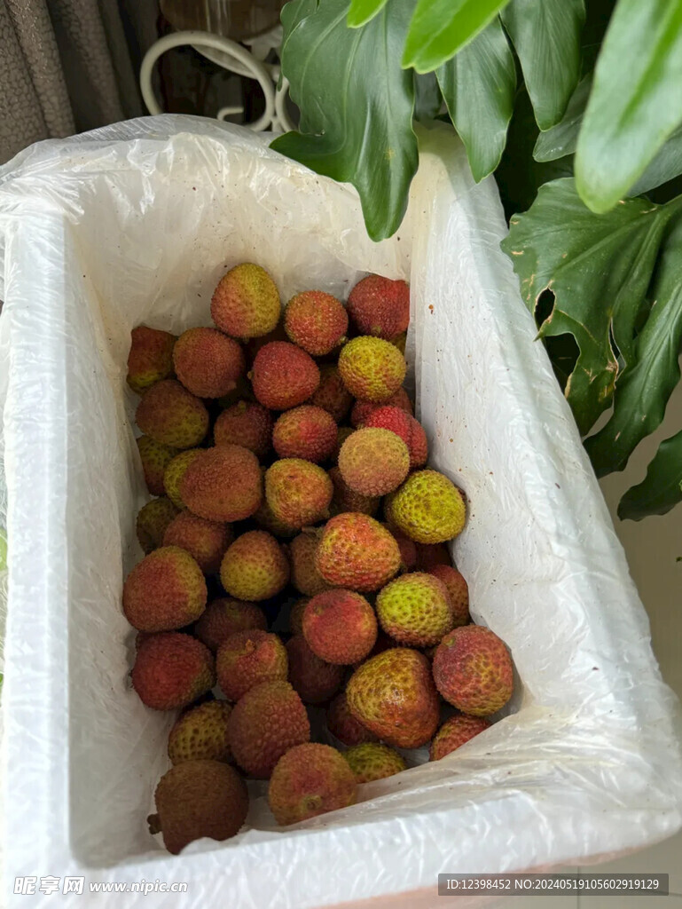 荔枝