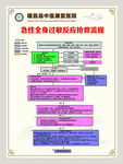 急性全身过敏反应抢救流程