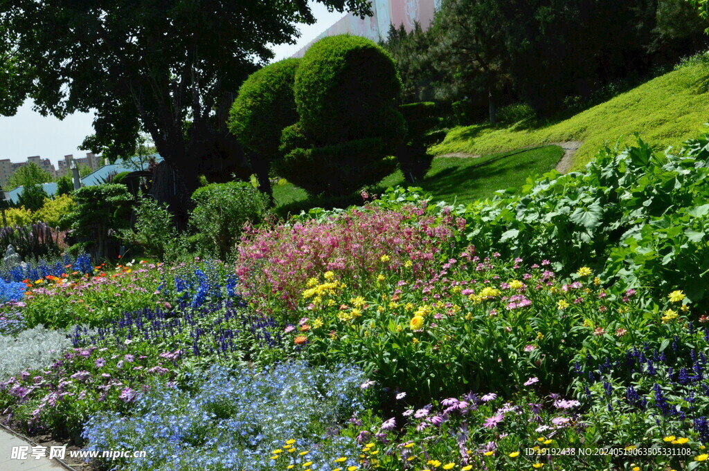 公园风景 