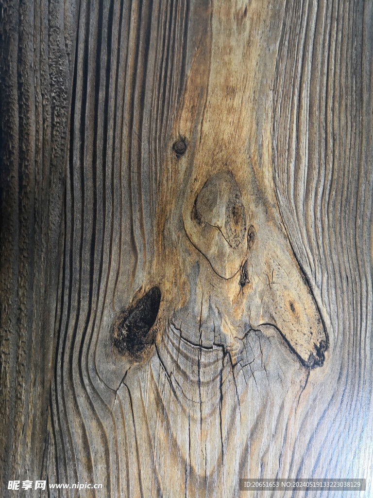 树干木纹