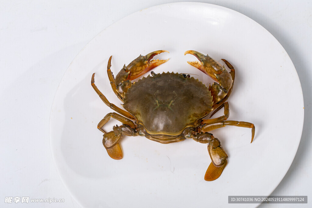  膏蟹 肉蟹 鲜美 河鲜