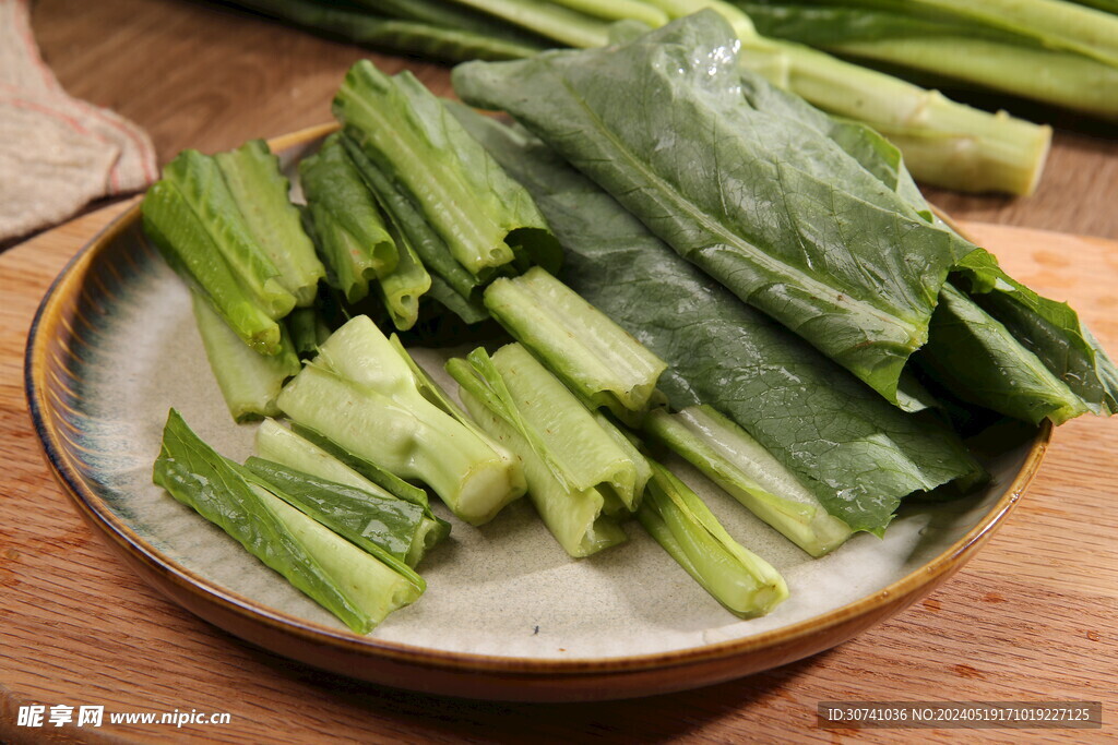 油麦菜苗  