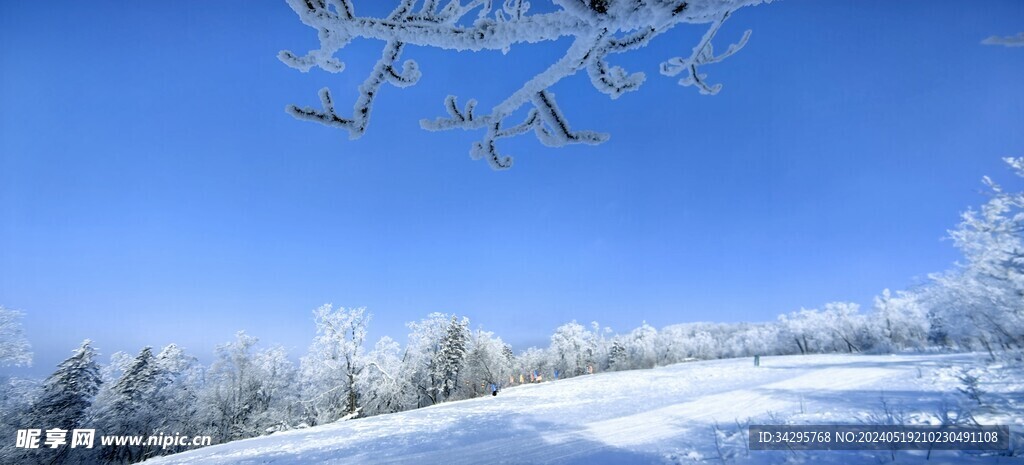 雪景