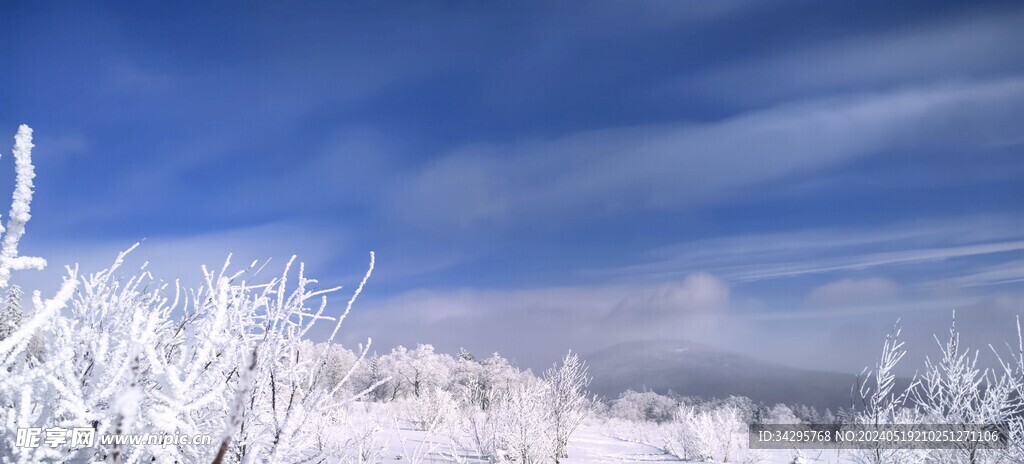 雪景