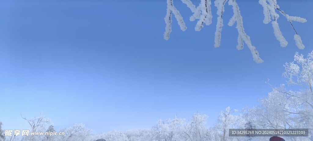 雪景