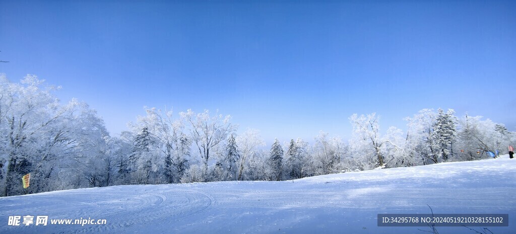 雪景