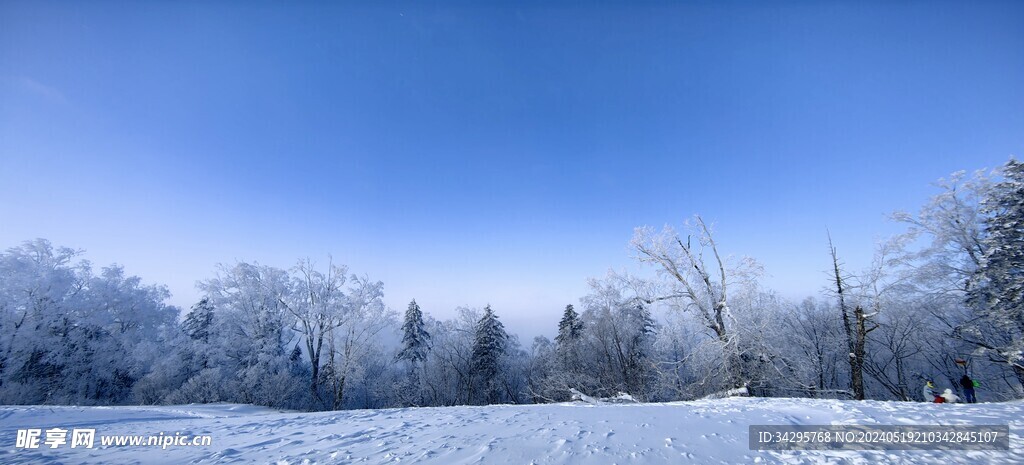 雪景