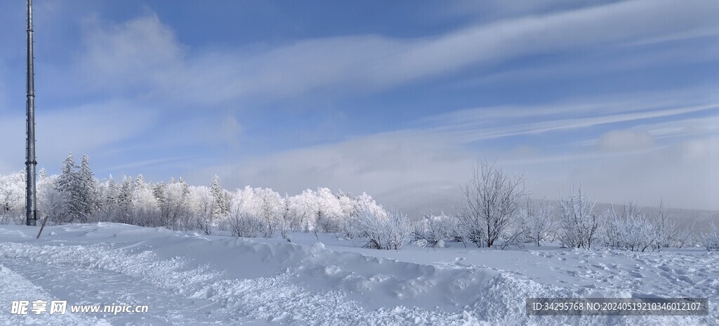 雪景