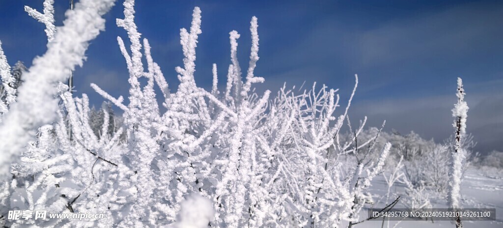 雪景