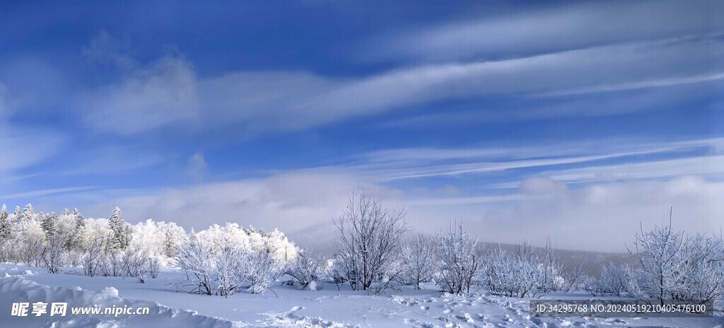 雪景