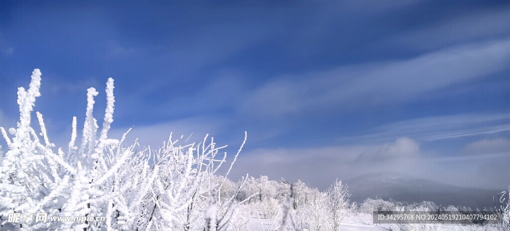 雪景