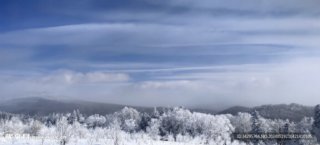 雪景