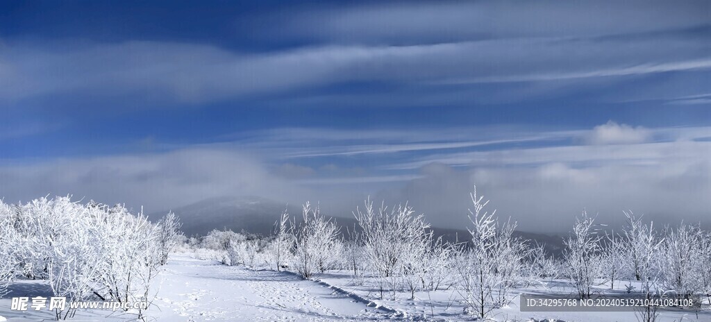 雪景