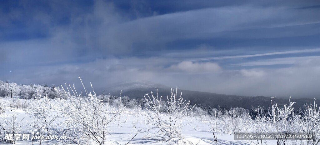 雪景