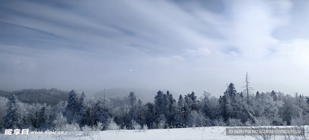 雪景