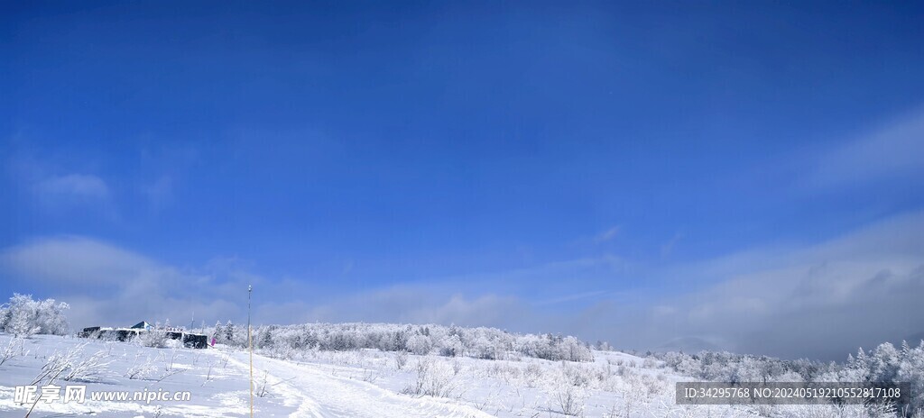 雪景