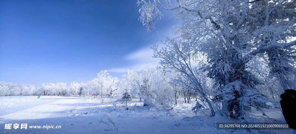 雪景