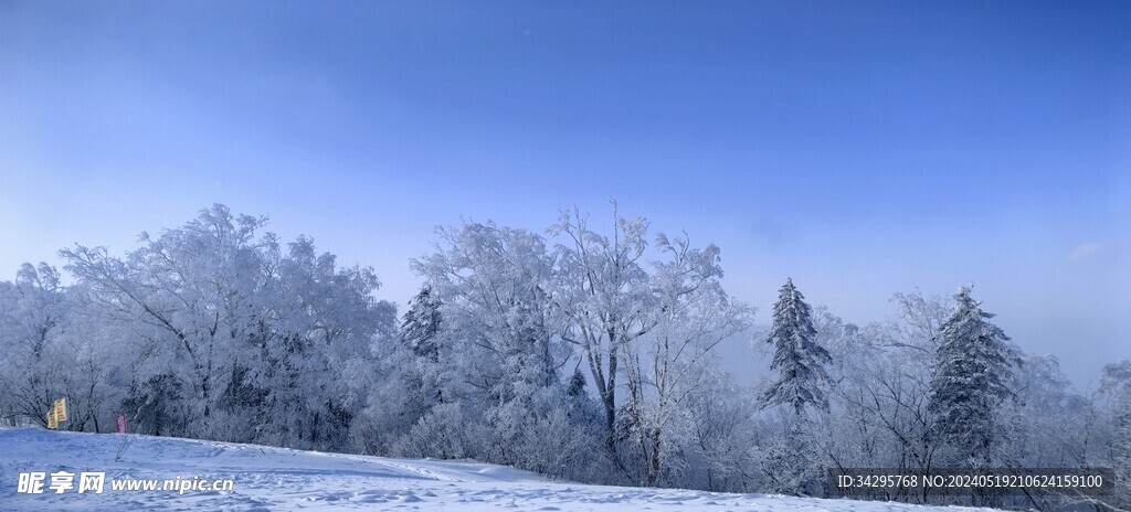 雪景