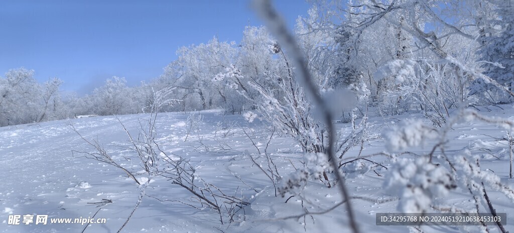 雪景